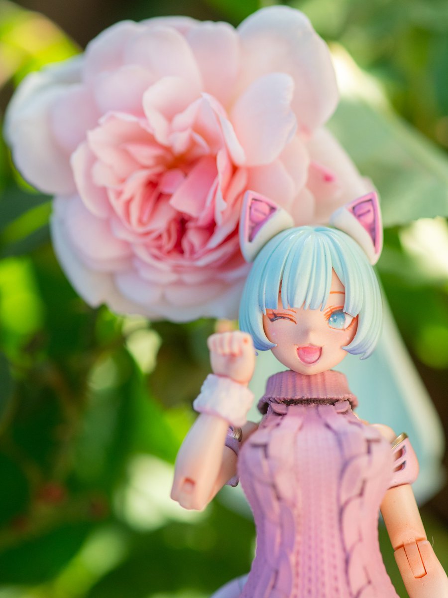 めるる様確認用 ⅩⅢふぇんりる🥀🐺 (@bXtTZa32vP1MbMF) / Posts / X