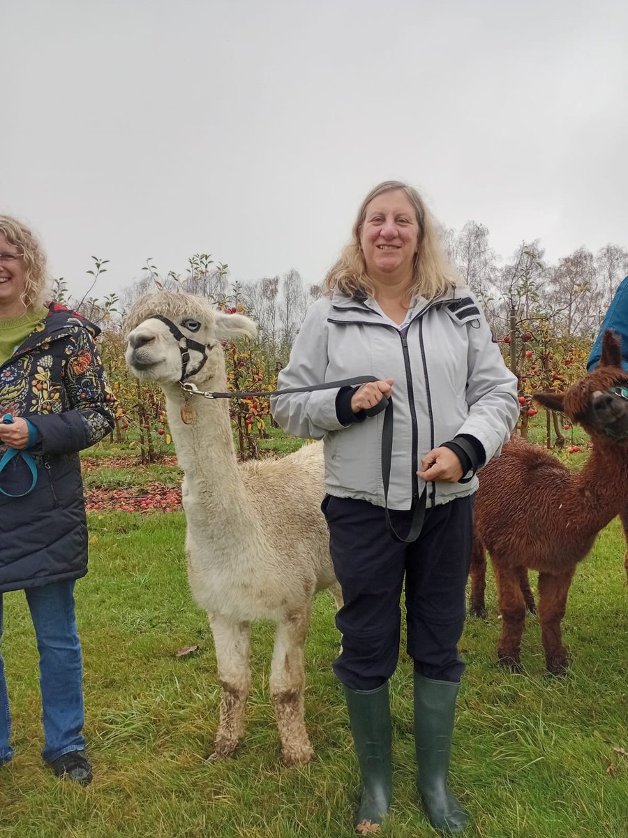 Rebecca Seaton tweet media