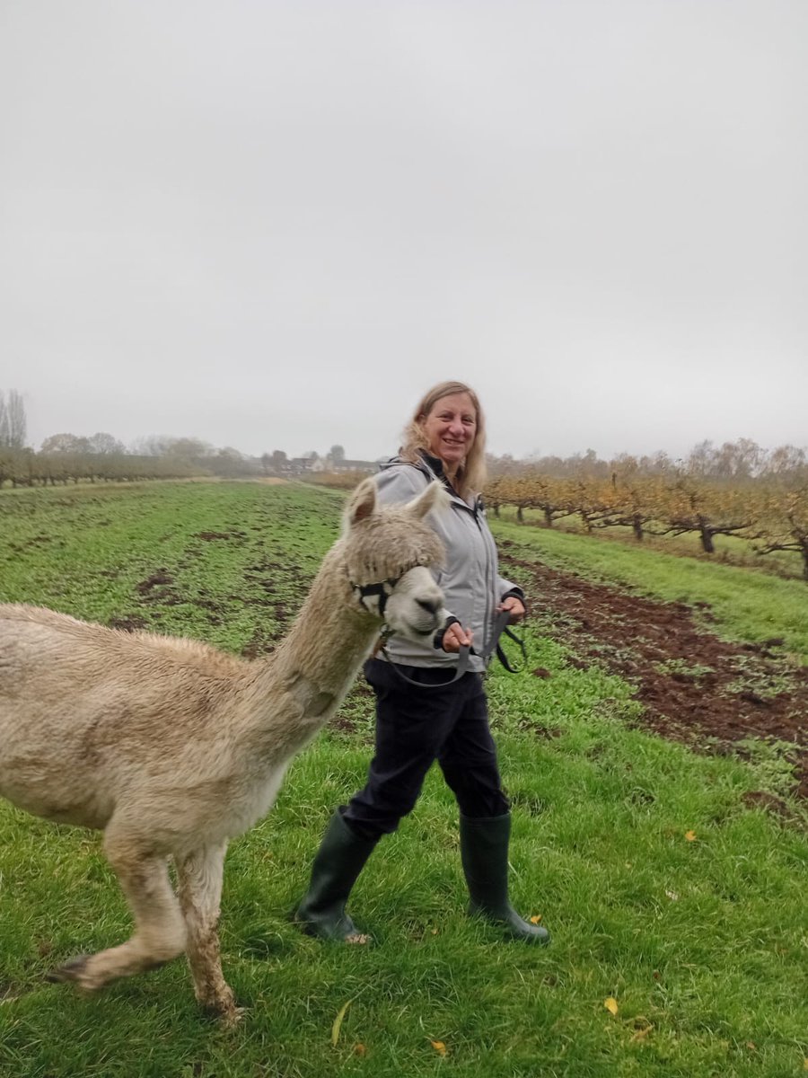 Rebecca Seaton tweet media