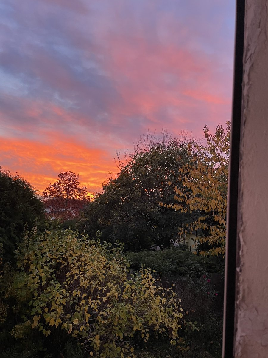 Marie 💫 tweet media