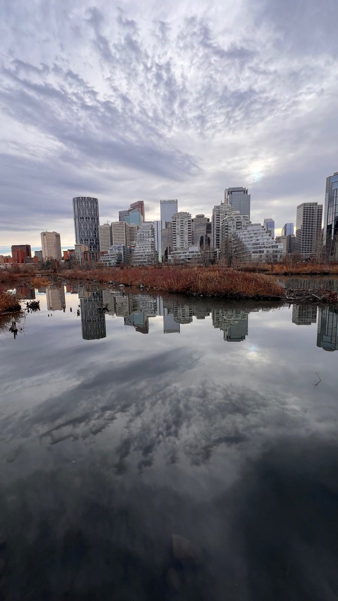 blabbit000's tweet image. ♥️