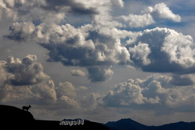 ☁️⛰️🐐Nubes, montañas e #fauna no Parque Natural Baixa Limia - Serra do #Xurés

Foto: Cris (xures44)

#Ourense #Natureza