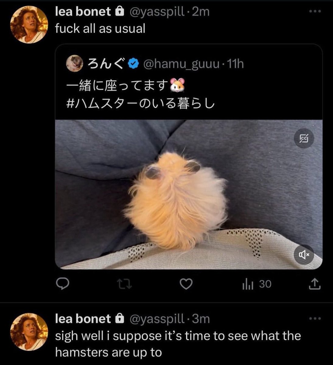 rina tweet media
