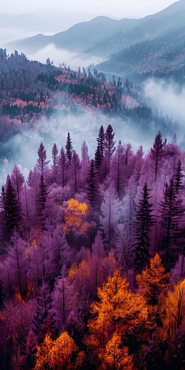 Wishing you all a healthy week, full of blessings and hope, my fabulous friends! 💜🙋‍♀️🪻🍀🍁🍂🙏✨️#Blessings #AI #alart #aiartcommunity #GoodVibesOnly #BeKind #NaturePhotography #peace