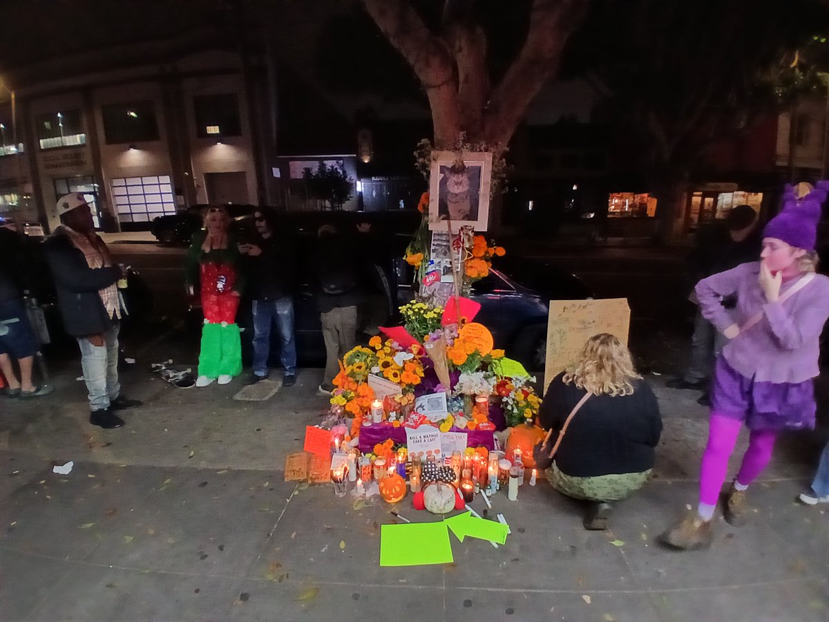 milesprojolivia's tweet photo. "Kill a Waymo, Save A Cat!" the sign reads
i was there at the site the next day after #kitcat died, there were people who never met the cat crying...
more mourning than i've seen for most human deaths.. https://t.co/F7Va3siEeG