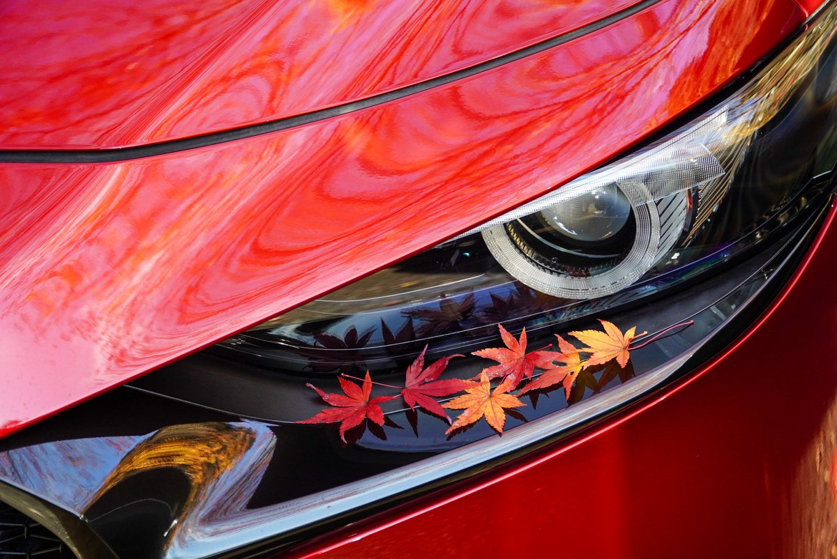 かわいい🍂
#withmazda3