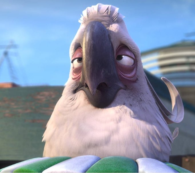 cada vez que enfocan a Palma