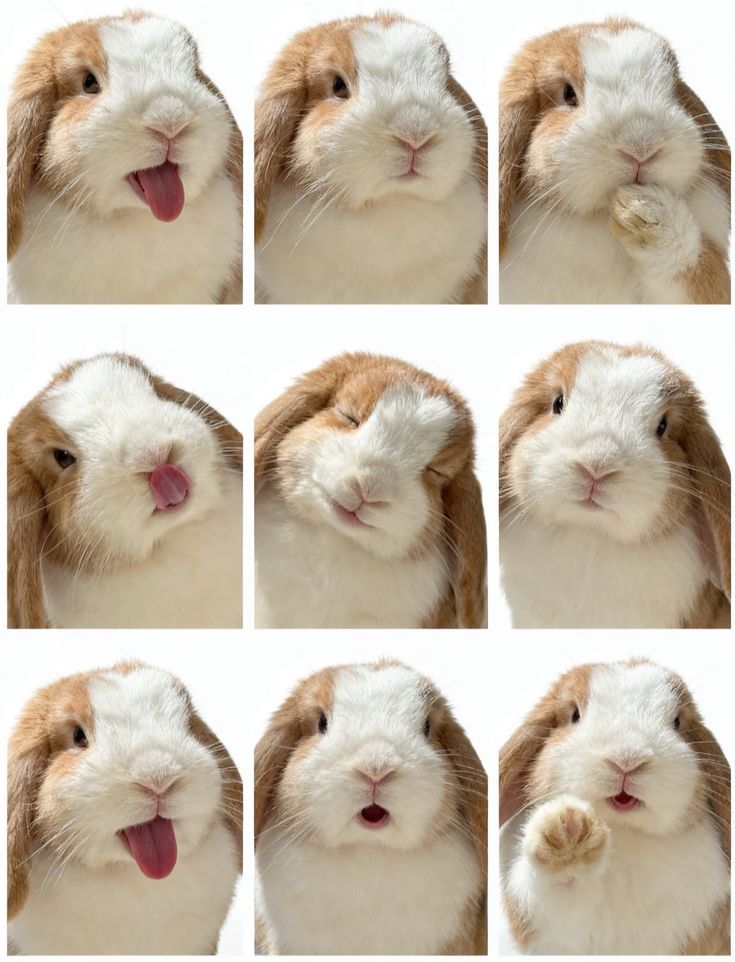 daughterrot's tweet image. 