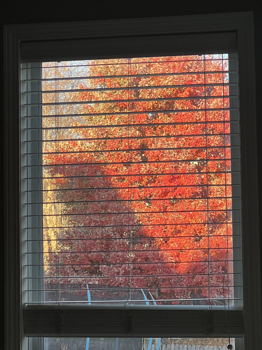 Watching the Chiefs and enjoying the fall views!