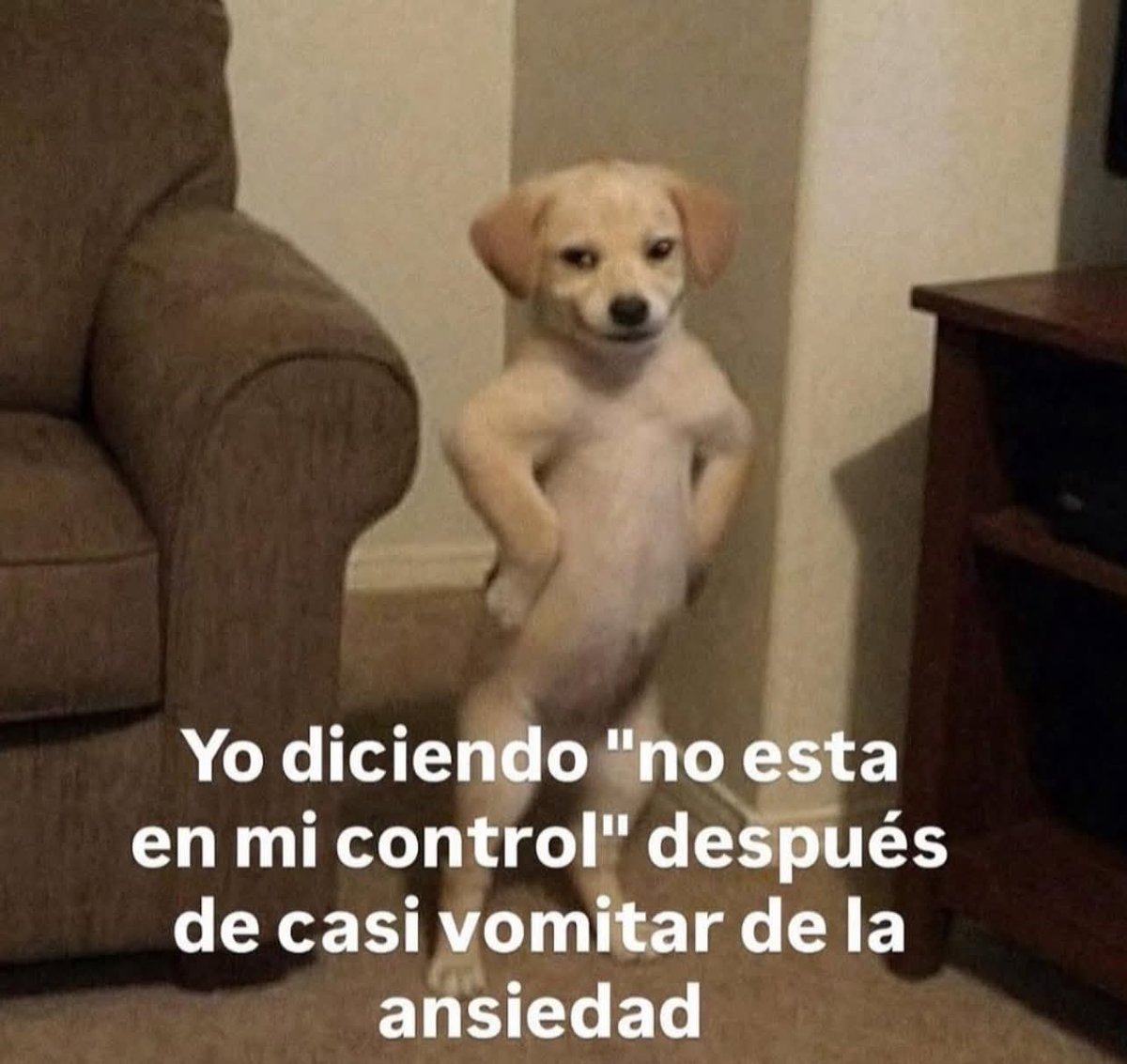 nxstypxet's tweet image. 