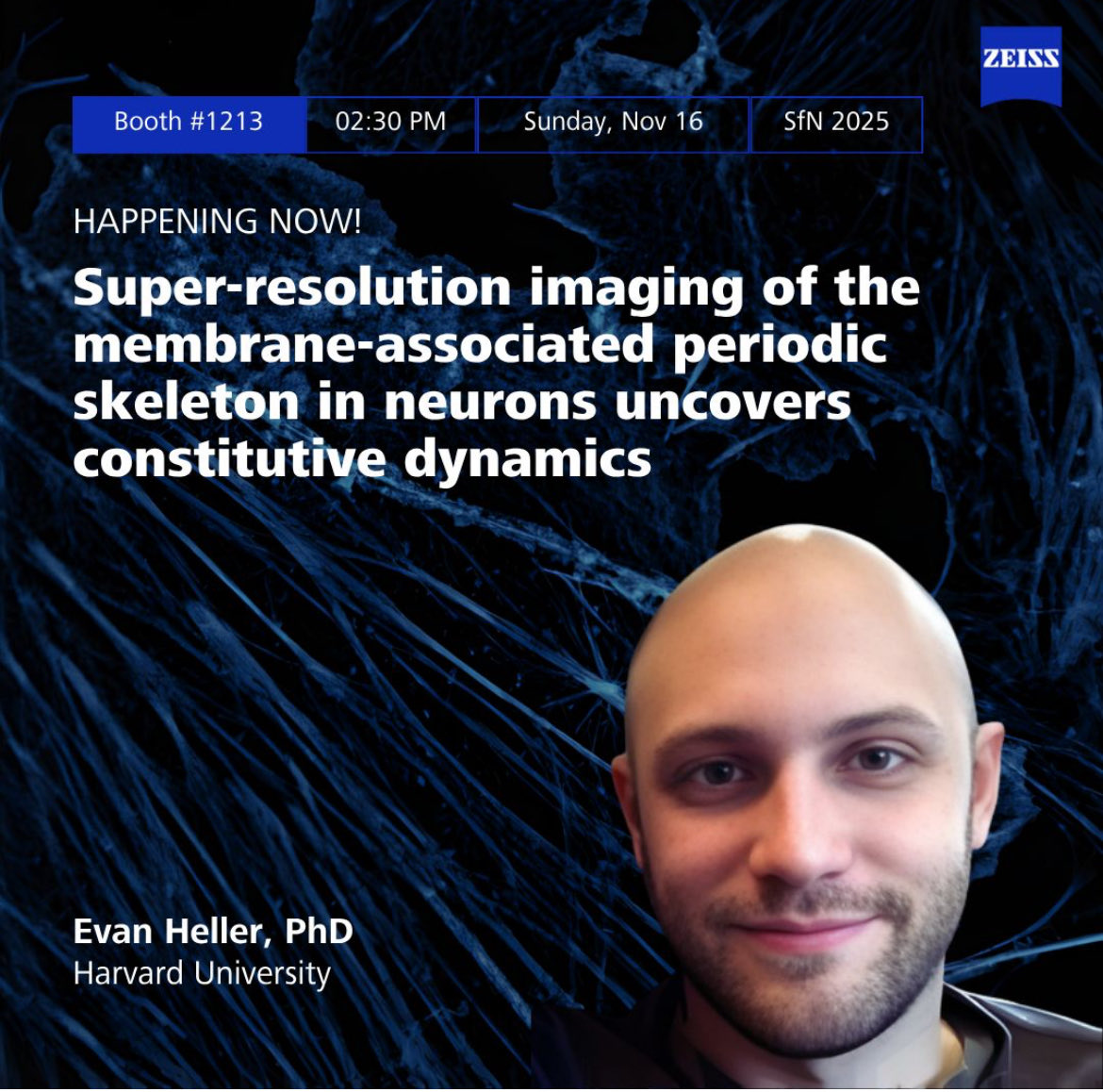 mlphillips17's tweet photo. Learn about actin dynamics and SIM imaging! https://t.co/4cwbe9030s