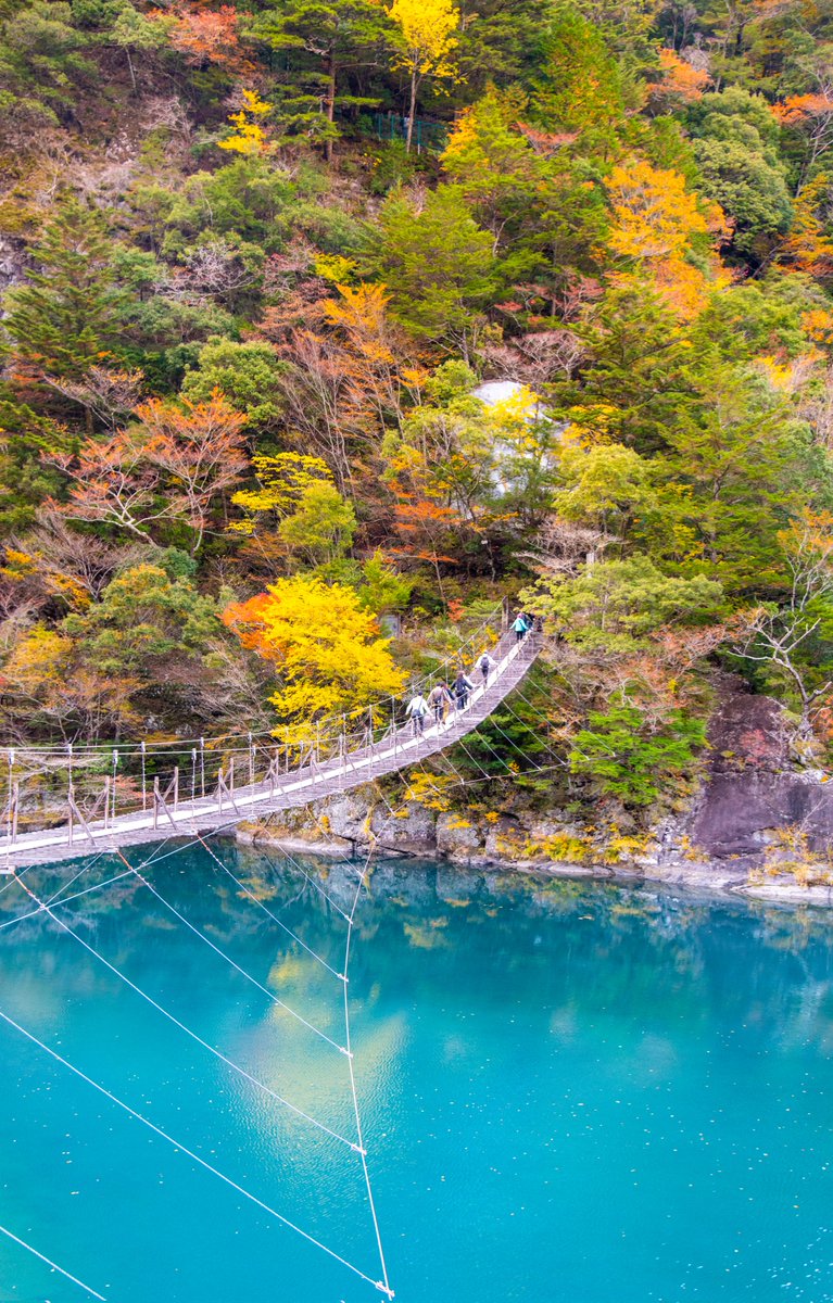 haskap1017's tweet image. 吊り橋は怖いけど静岡県の川がめっちゃ綺麗でした