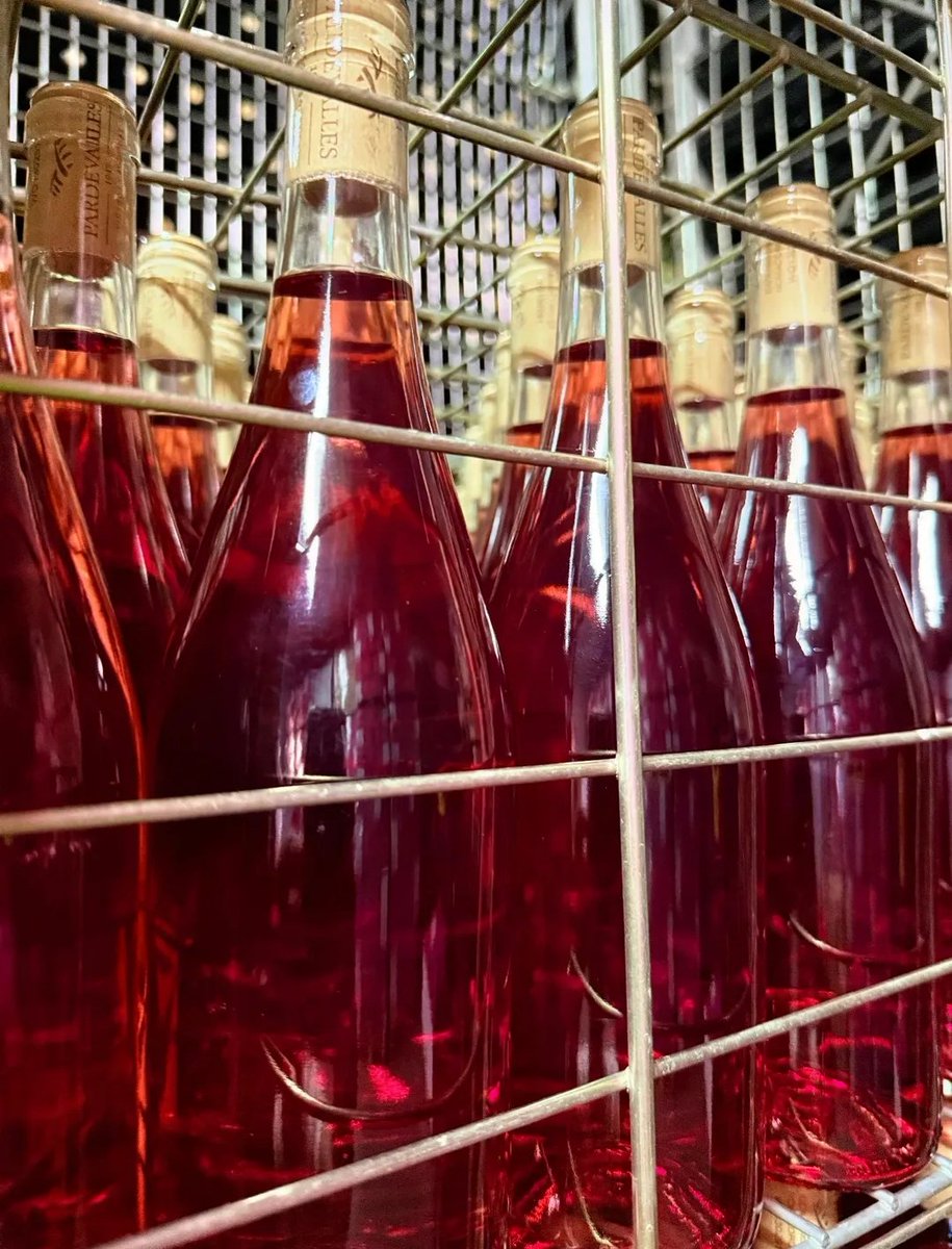 💬 Momentos previos a la magia final antes del etiquetado, listas para llevar a tu mesa el sabor y la esencia de Pardevalles cada una refleja el trabajo dedicación y cariño que ponemos en cada elaboración.
.
.
#pardevalles #prietopicudo #albarin #doleon #vino  #bodegapardevalles