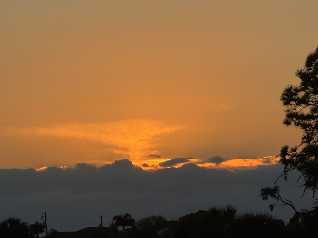 MariRoz's tweet image. Today i walked and I snapped these pictures