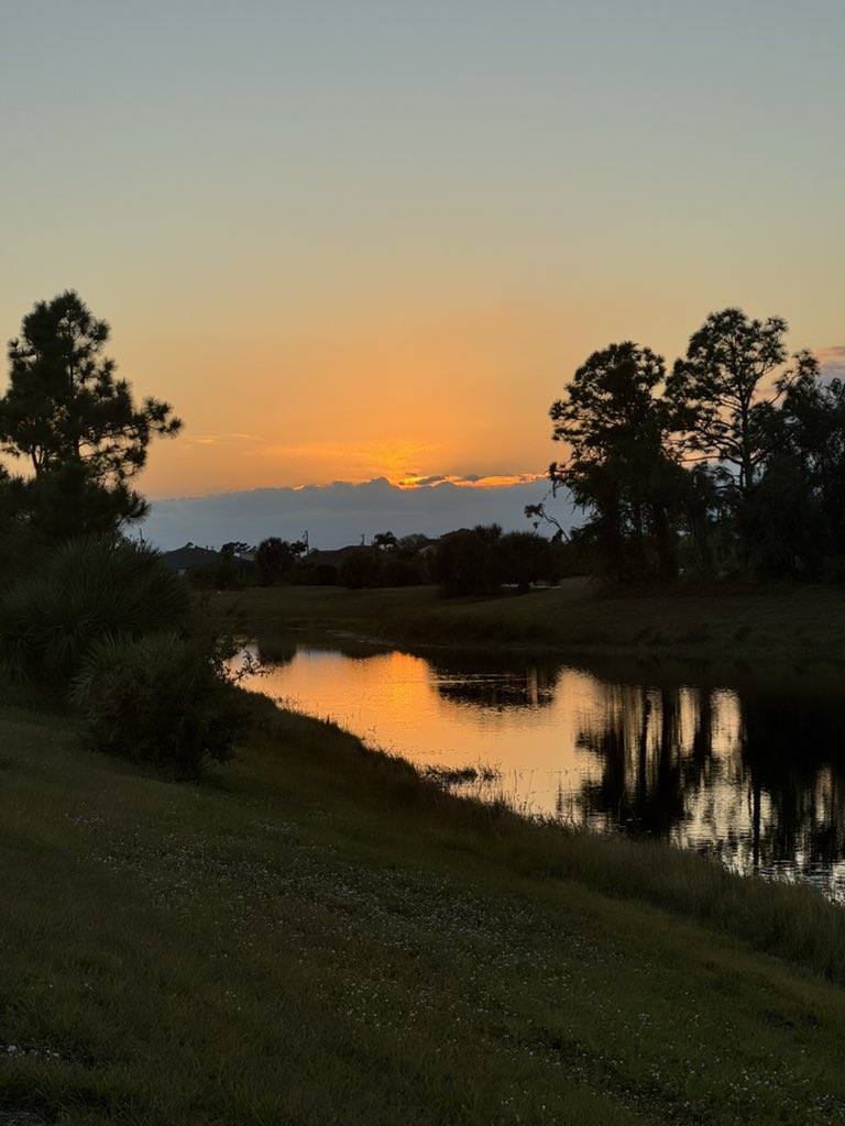 MariRoz's tweet image. Today i walked and I snapped these pictures