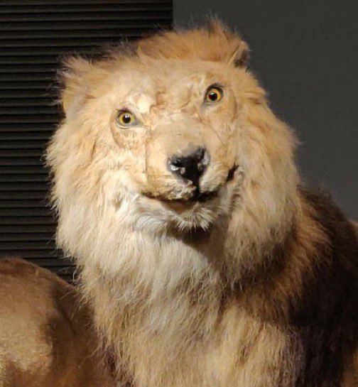 ExcelFX01's tweet image. THE STRATEGY.          VS.        THE ENTRY 😅