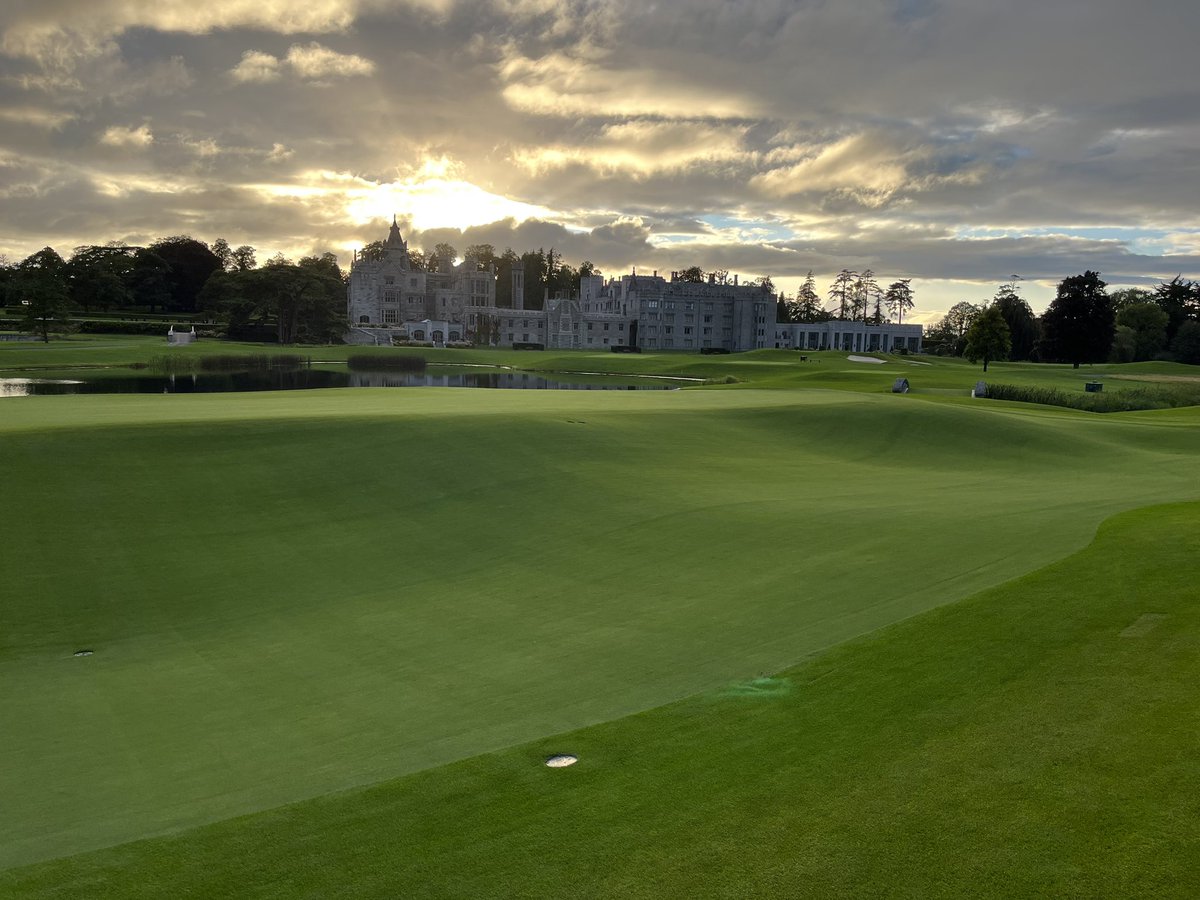 Fergus Harrold tweet media