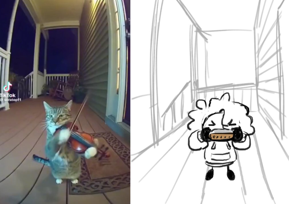 se me habia perdido el video del gato por 3 dias pero lo volvi a encontrar