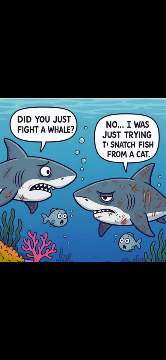 Don’t mess with cats 🐱 😃
