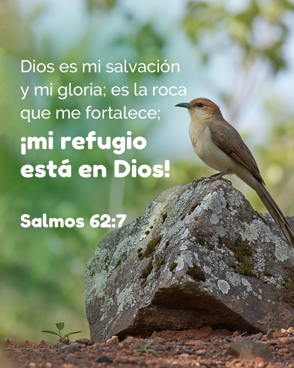 CercaEsta's tweet image. Dios es mi salvación y mi gloria; es la roca que me fortalece; ¡mi refugio está en Dios!— Salmos 62:7

#salvación #gloria #refugio #Salmos #Dios