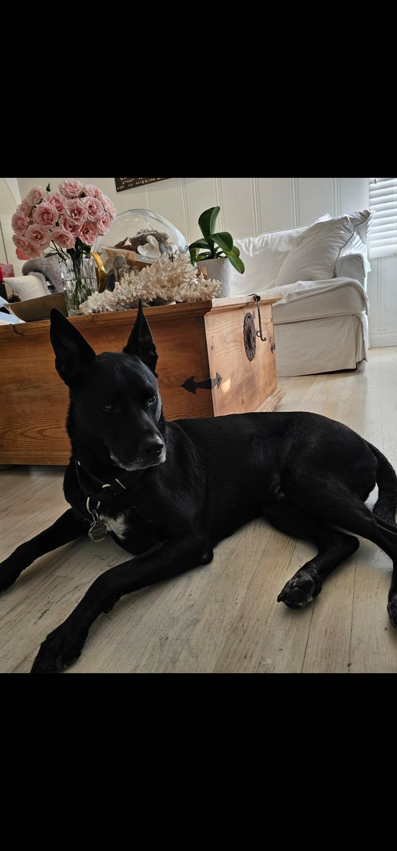 The rain stopped, finally, and I feel alot better!