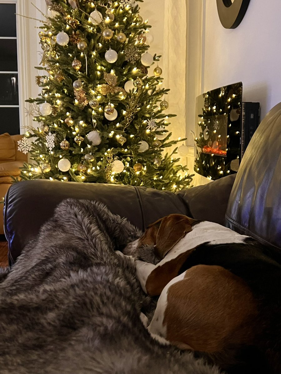 kevinjguest's tweet image. Relaxing Sunday nights! 👌