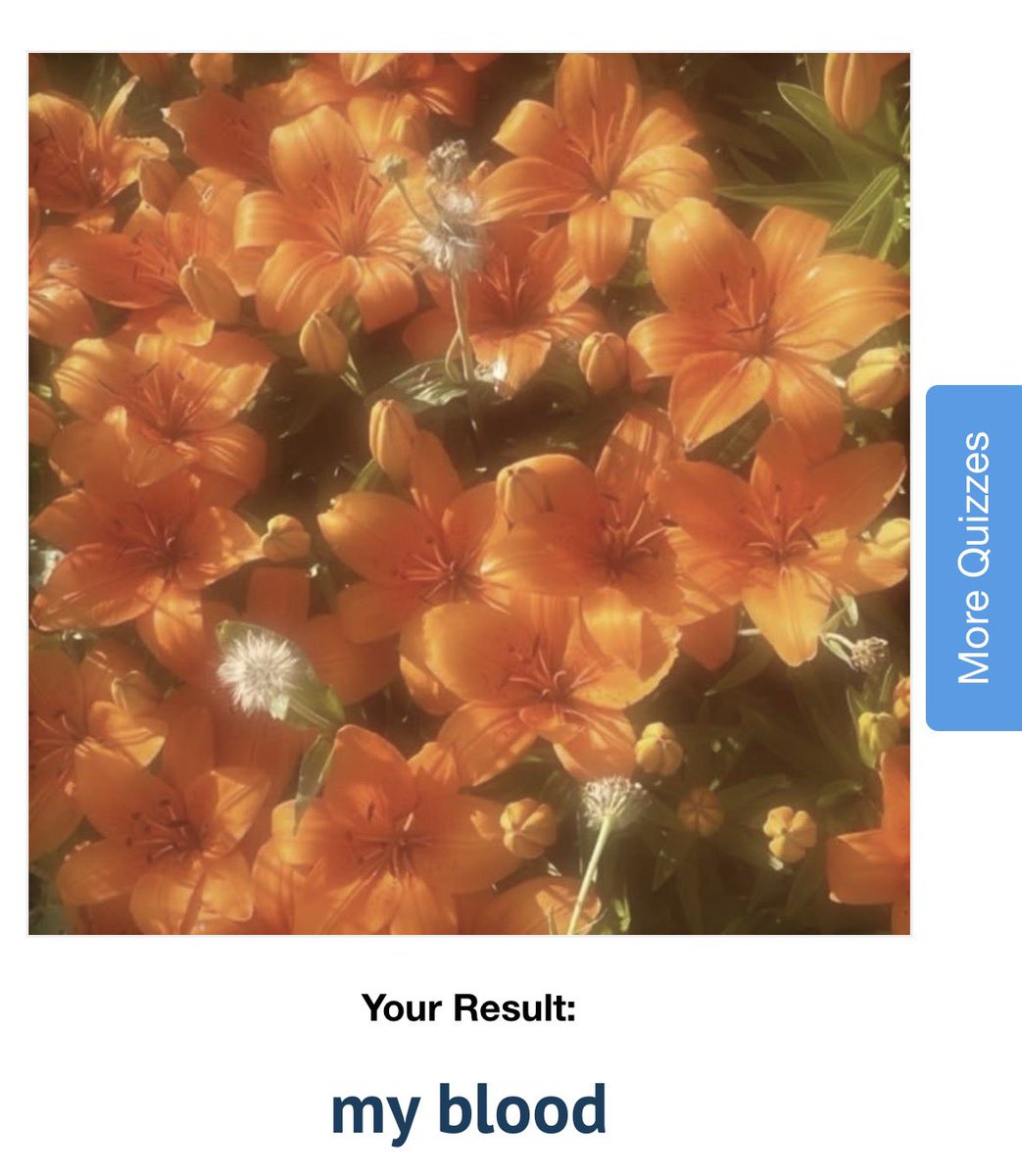 fork found in kitchen