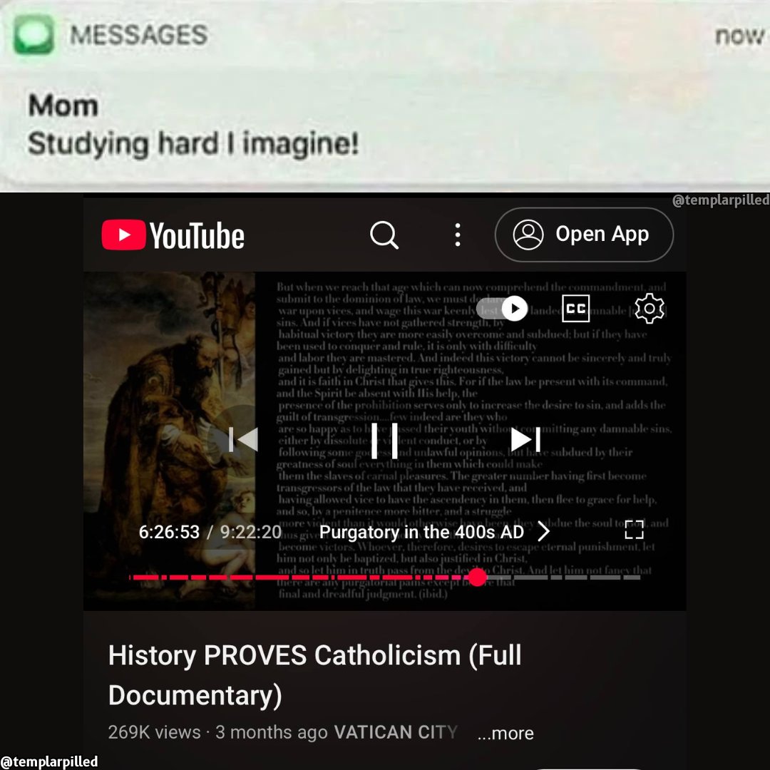 Templarpilled tweet media