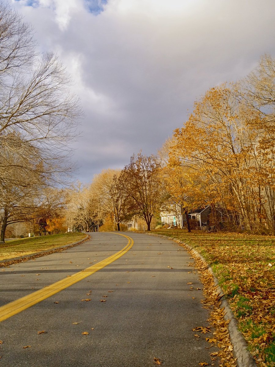 Blogging From Paradise tweet media