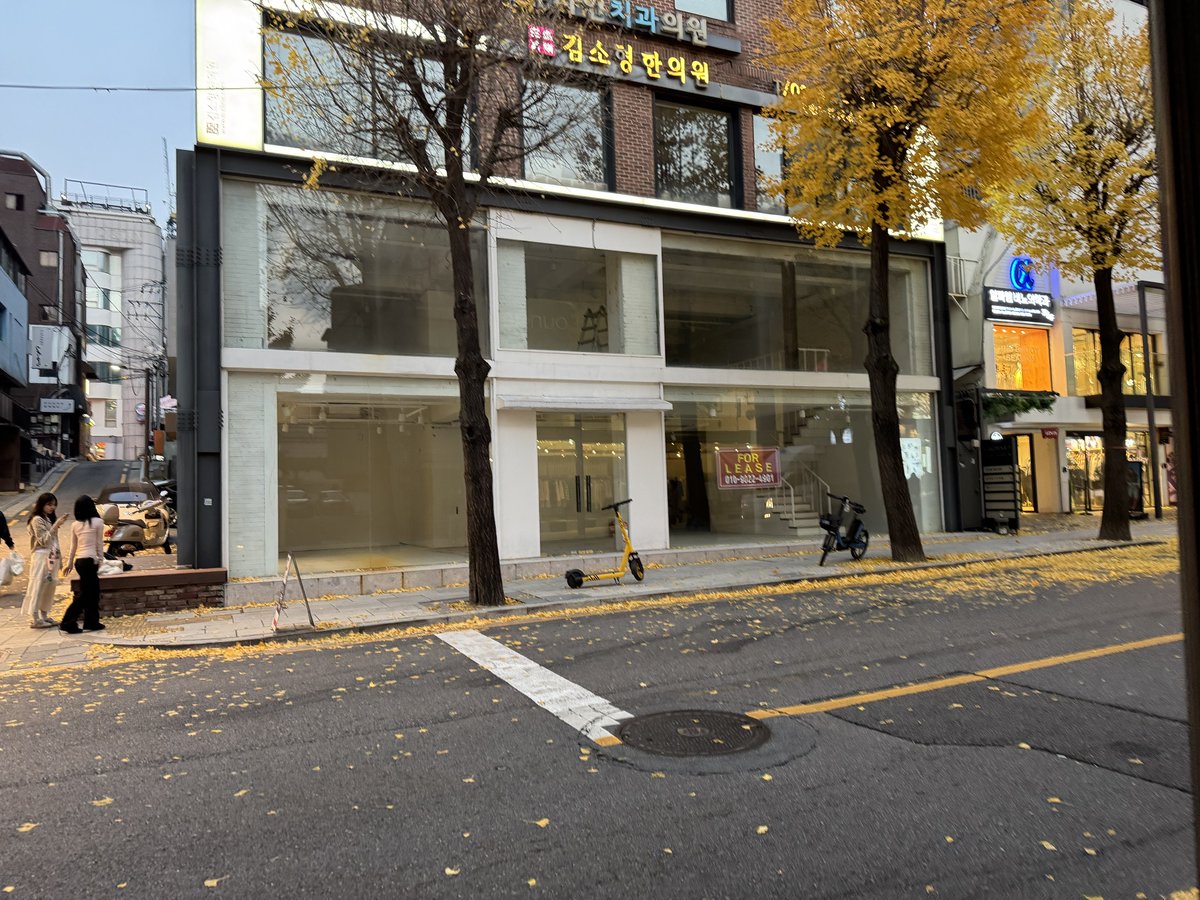 becomingEnadam's tweet image. 반면 일요일의 가로수길 was...