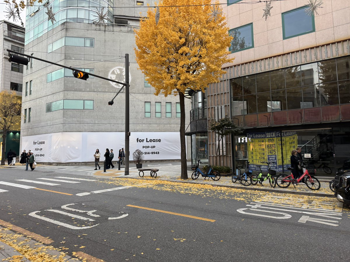 becomingEnadam's tweet image. 반면 일요일의 가로수길 was...