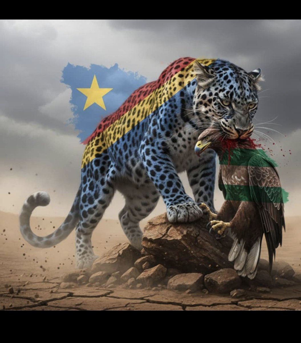 Merci les Fauves! 
#RDC Eloko ya makasi! 
🏆♥️🇨🇩🎉