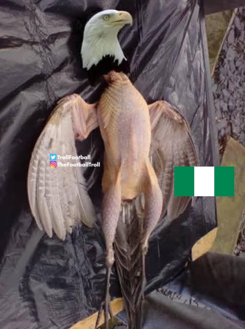 KPmoneylord's tweet photo. Nigeria can only qualify to the world cup if is hosted by country in African https://t.co/Z7GA7GeN0y