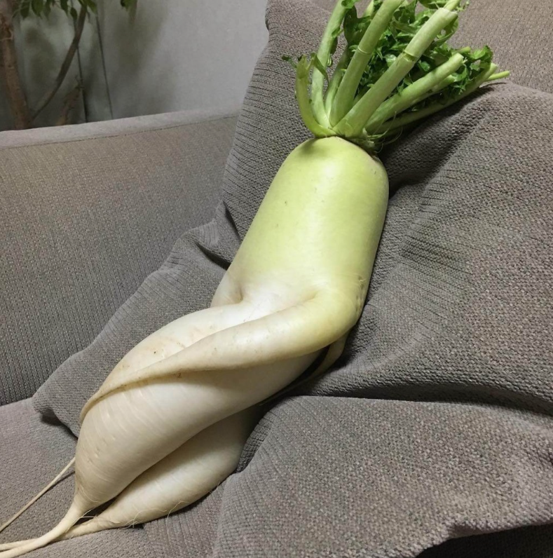 Rayvcallace's tweet image. こんな妖艶な大根はオークションに出すべきだよね😆✨面白すぎる！