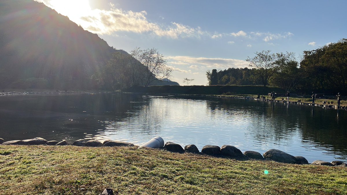 sarsiy_e_trout's tweet image. 昨日悔しすぎてやっぱり起きちゃったのでここ

＃OFC