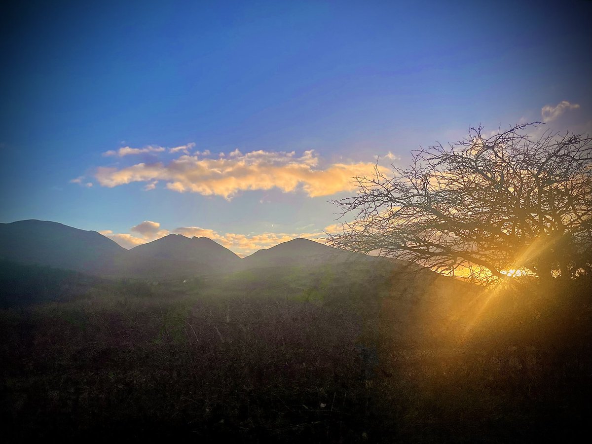 ACVDW's tweet image. 🍂 🌅