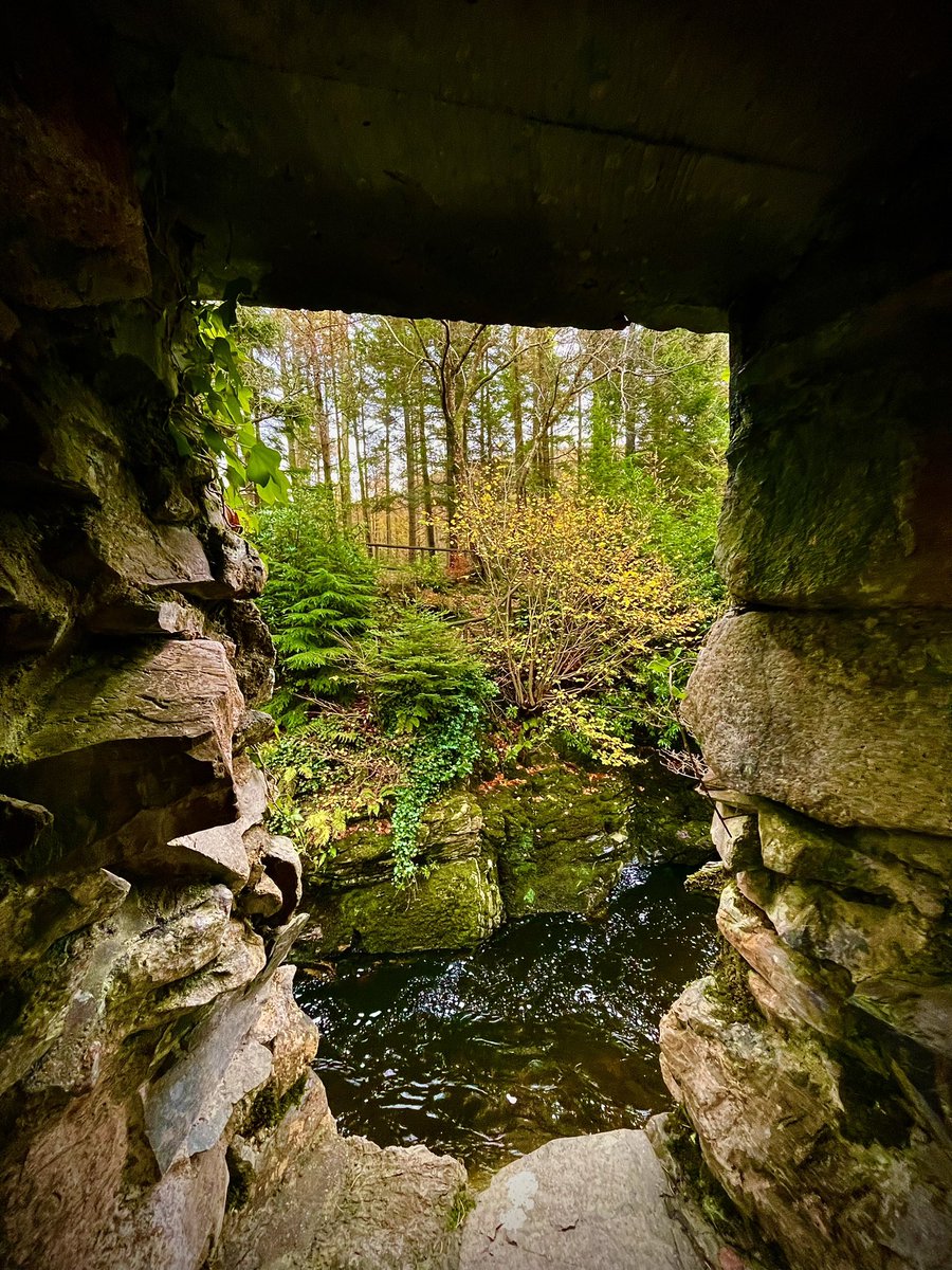 ACVDW's tweet image. 🍂 🌅