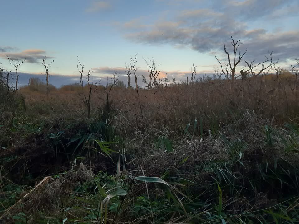 Today I’m grateful for a good walk across the fields and then (re)discovering the delights of the Freshney Valley - we’re fortunate to have this so close to so many people…
#DailyGratitude