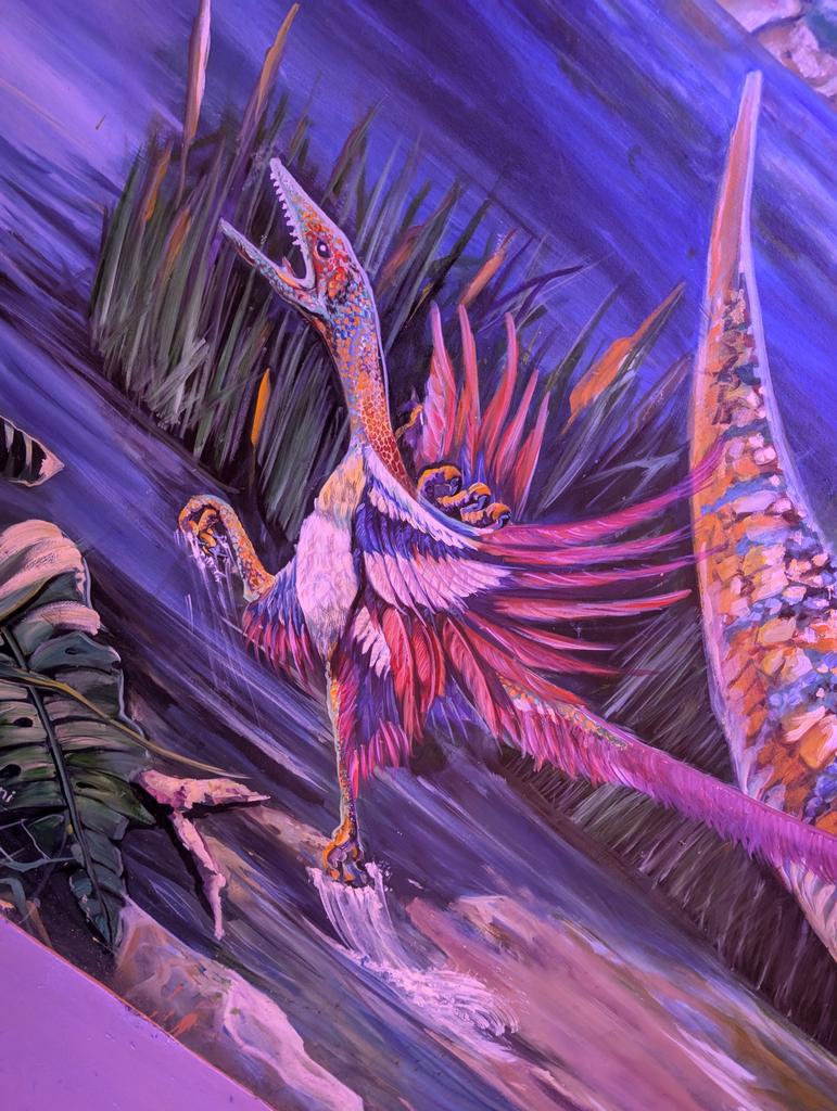 Jake Gallagher tweet media