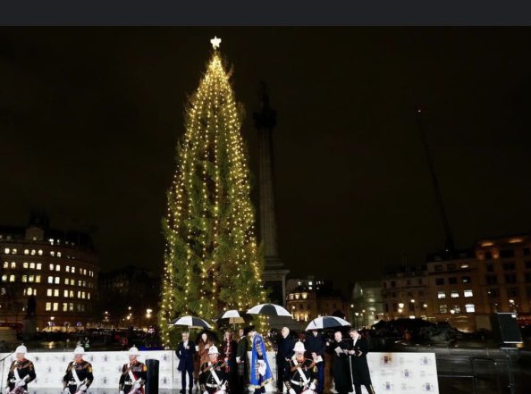 sophielouisecc's tweet image. Please can we have a better Christmas tree in London this year than the cactus with Poundland fairy lights that we had last year