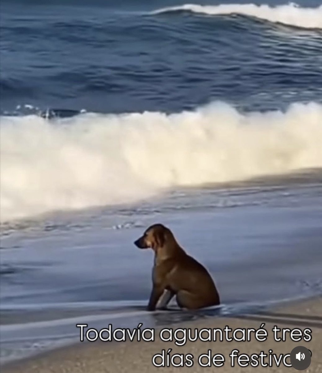 _m_o_n_c__'s tweet image. Mood !!
🫠🫠😅