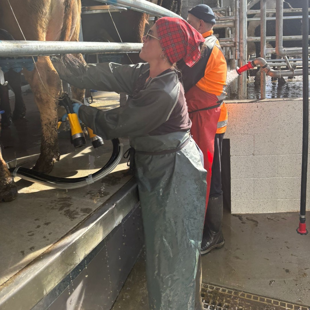 ADFMilking_AUS's tweet photo. 🐄💙 At Rakaia Island Dairy, a happy team means happy herds—showing that care for people and animals goes hand in hand. https://t.co/fhWBVE6FkF