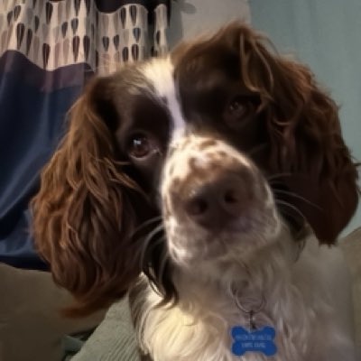 #NewProfilePic