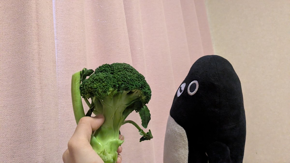 bt_lambda's tweet image. これはブロッコリーを差し出されて真顔になってるｽｲﾍﾟﾝ🥦🐧
