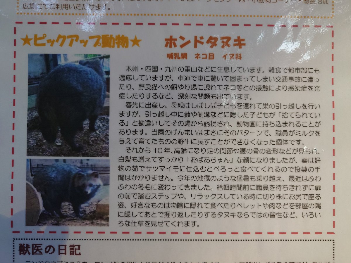 タヌキ愛好家の七倉💉💉💉💉💉/BOOTHで通販受付中 (@weisse_flugels