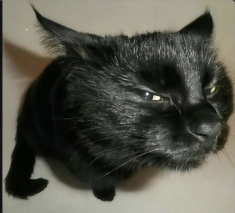 ElChagnon tweet media