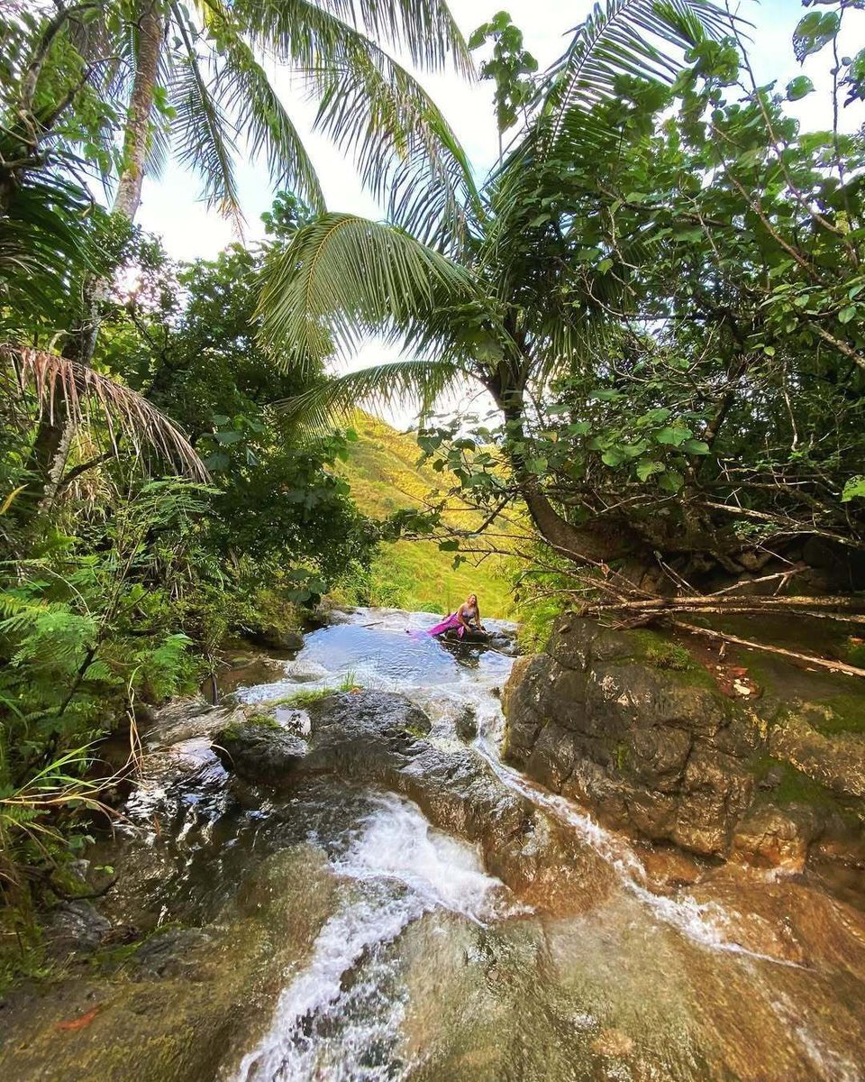 TheGuamGuide's tweet image. Mermaid on Guam SPOTTED! Biba Sirena! 

📸: @busymamamermaid 

#guam #guamguide #mermaidspotting #localmyth #guahan #mermaid