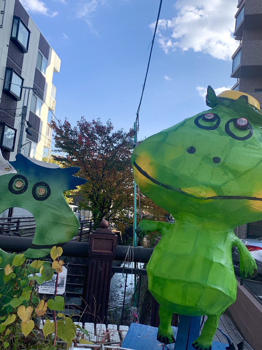 myao_my1's tweet image. #charmy散歩

おはようございます🍂暖かくしてね

#河童
#高市やめろ