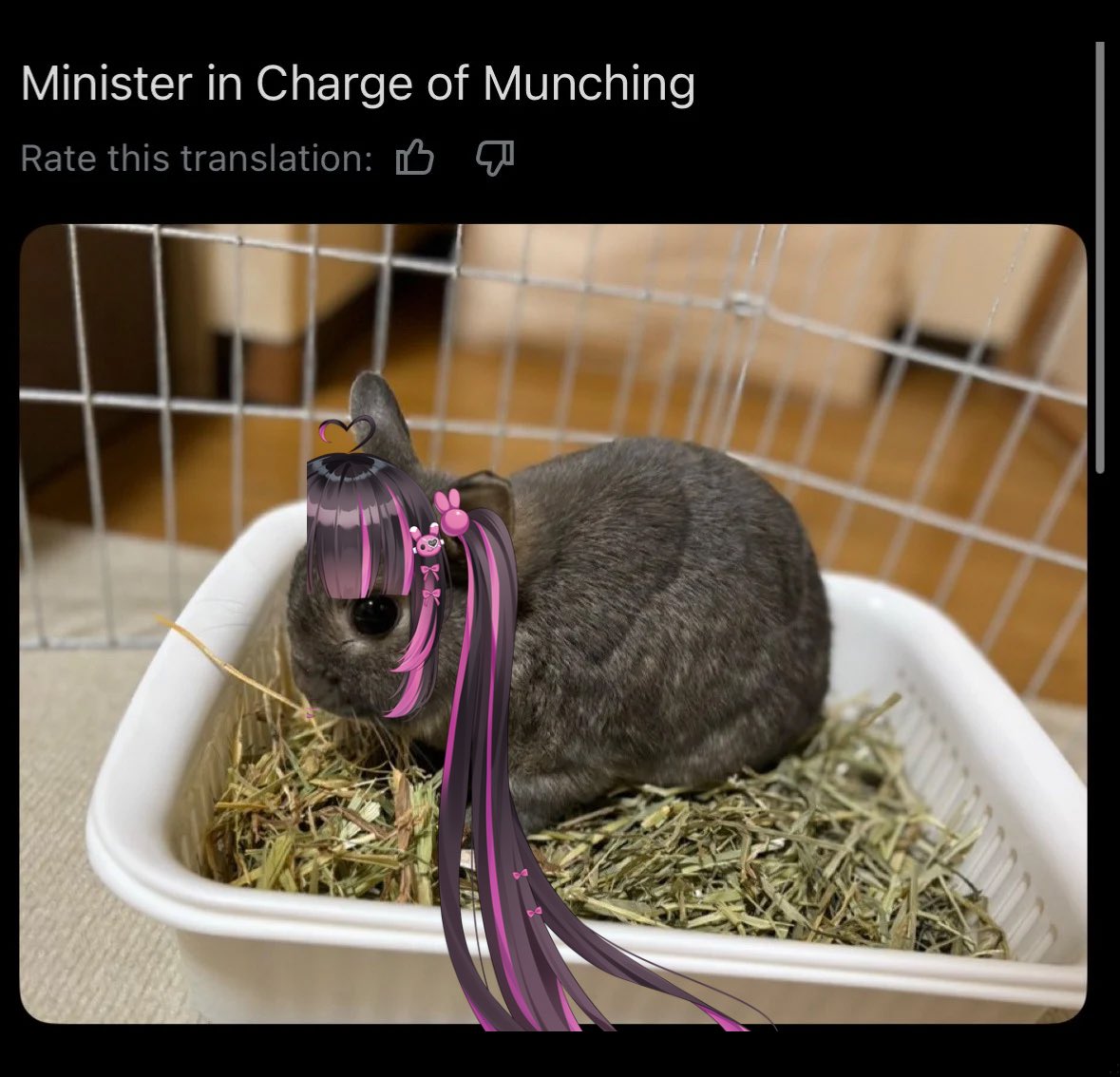 hullo my throat is still fucked up but will probably be better in a day or two 3: i will prob release schedule on like tuesday since tomorrow i am wicked-ing :3!!