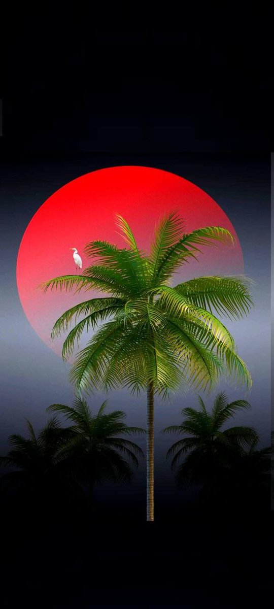 الطمأنينة لا تأتي من فهمك لكل ما يحدث
 بل من يقينك بأن الله يُدبّر وأن التدبير الإلهي لا يُقاس بفهمك المحدود وأن السكينة ليست غياب الأسئلة بل الراحة في عدم الحاجة إلى إجاباتٍ عاجلة حين توقن أن التوقيت بيده –عزَّ وجل– لا بيدك